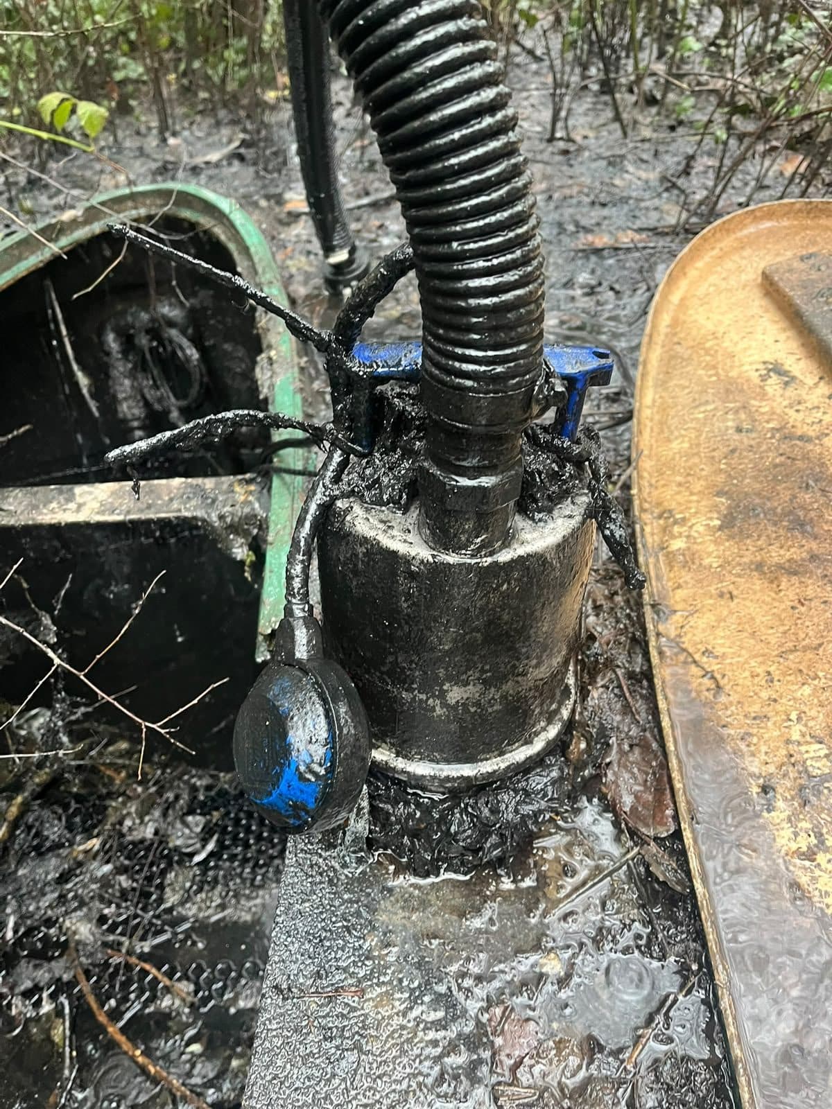 Pump and float switch down inside a wet well with the discharge hose connected